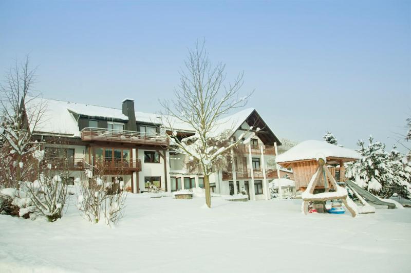 Haus Alexandra Inkl Meinecard Plus Willingen  Eksteriør bilde