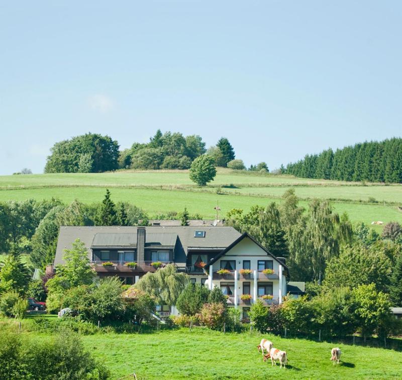 Haus Alexandra Inkl Meinecard Plus Willingen  Eksteriør bilde